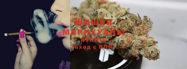 тгк Лиски