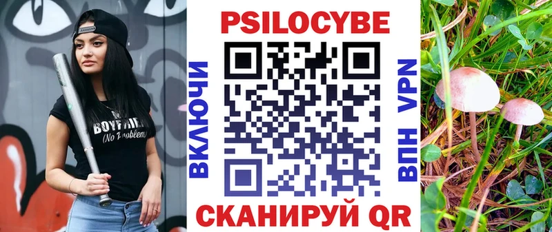 Купить  Новая Усмань  Псилоцибиновые грибы Magic Shrooms 